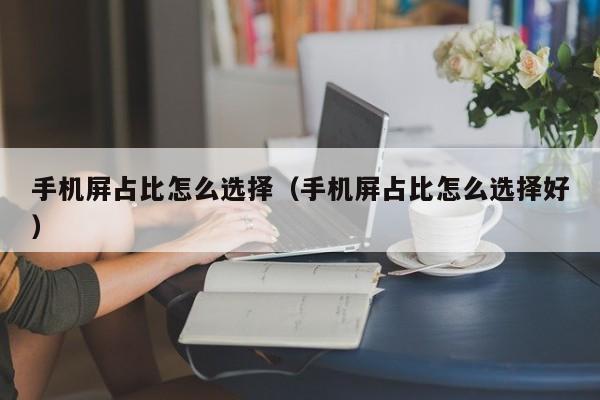 手机屏占比怎么选择（手机屏占比怎么选择好）
