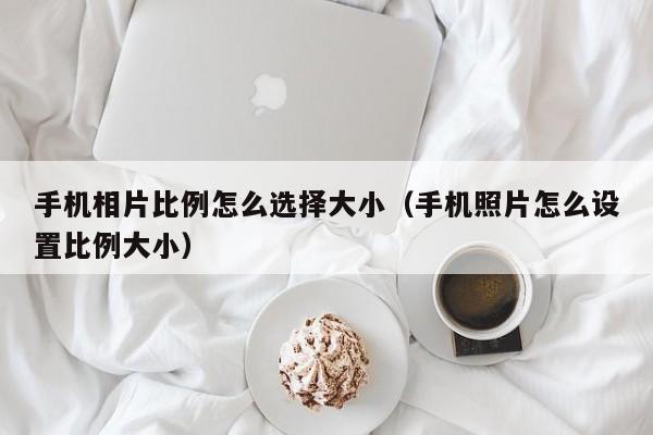 手机相片比例怎么选择大小（手机照片怎么设置比例大小）